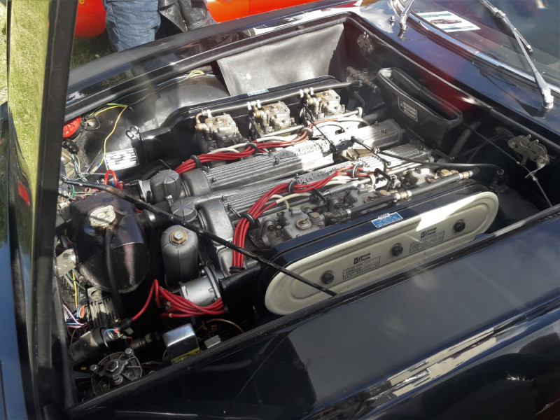 Bella Italia 2019 11