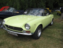 Wedelslund 5